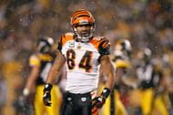 T.J Houshmandzadeh in action for the Cincinnati Bengals